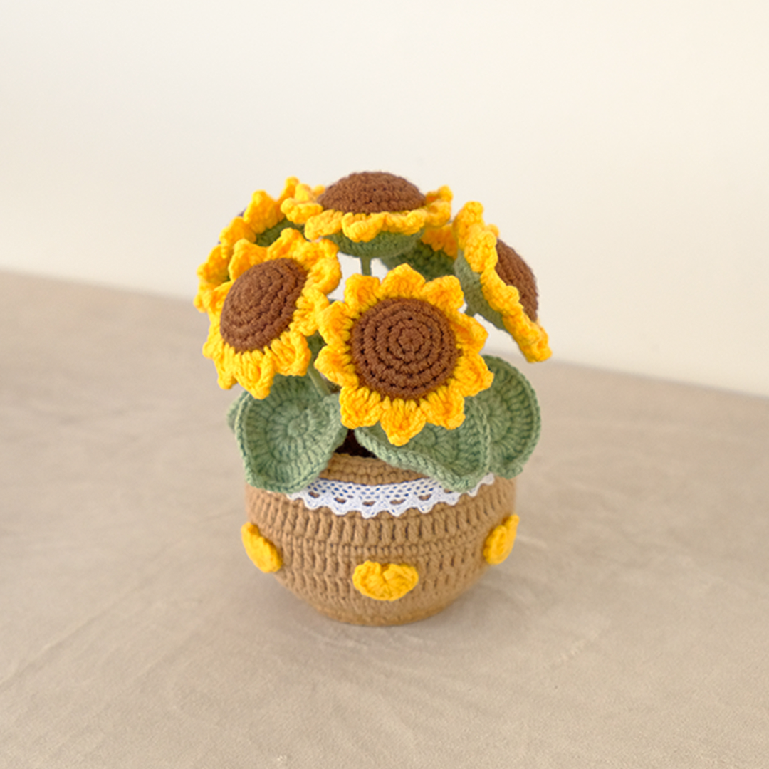 5-6 stalks of sunflower in a pot