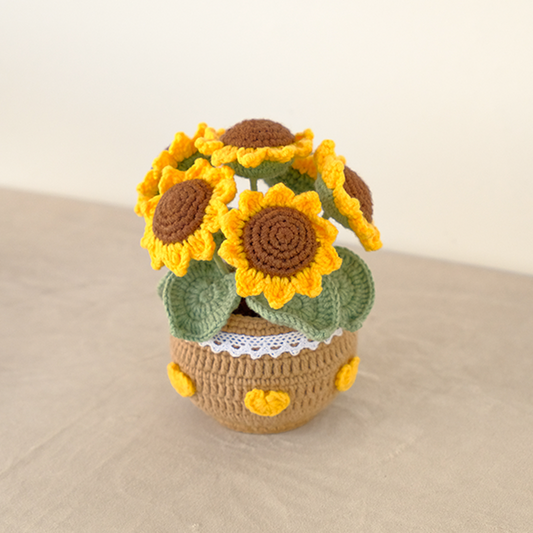 5-6 stalks of sunflower in a pot