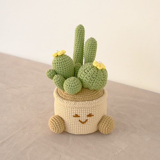 Happy Cactus Pot