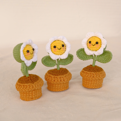 Cheeky Jolly Pot - Handmade Crochet Mini Daisy Flower Gift