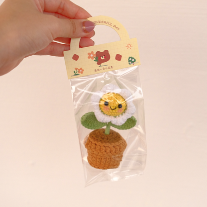 Cheeky Jolly Pot - Handmade Crochet Mini Daisy Flower Gift