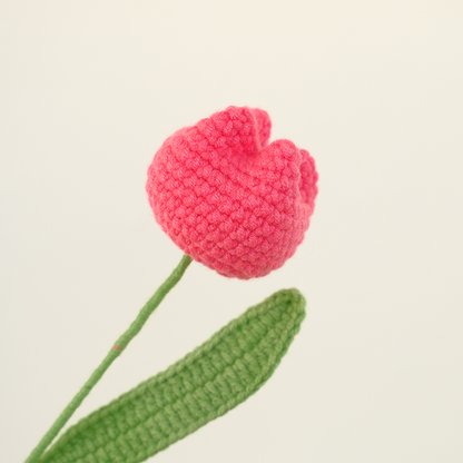 Crochet Chubby Tulip