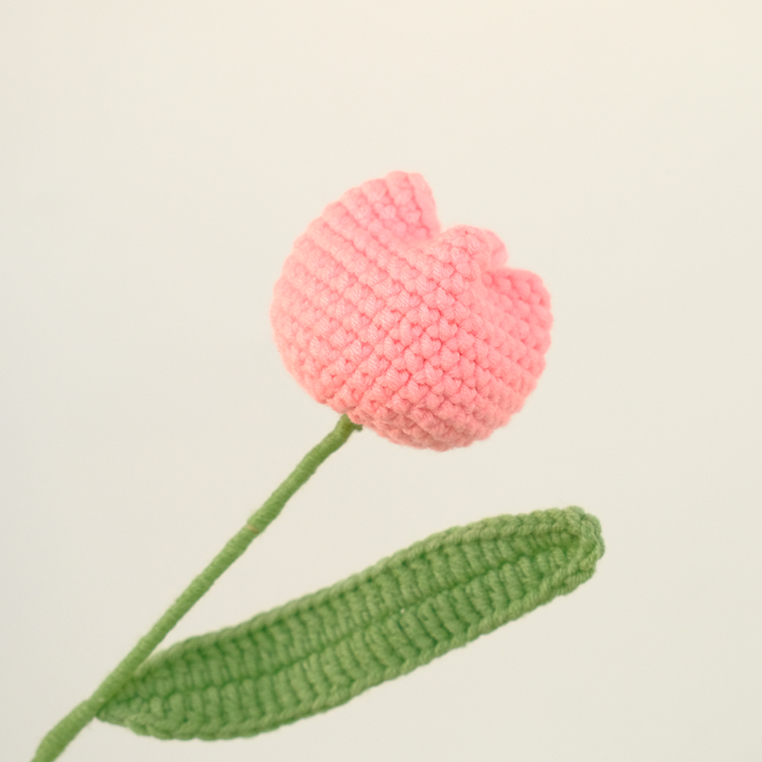 Crochet Chubby Tulip