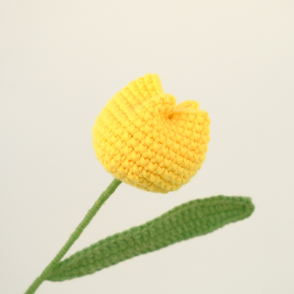 Crochet Chubby Tulip