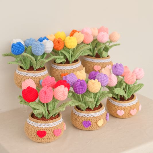 Tulip Garden Pot - Handmade Crochet Plant Gift