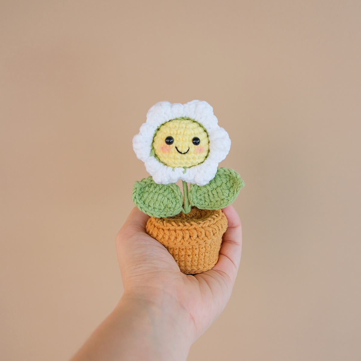 Cheeky Jolly Pot - Handmade Crochet Mini Daisy Flower Gift