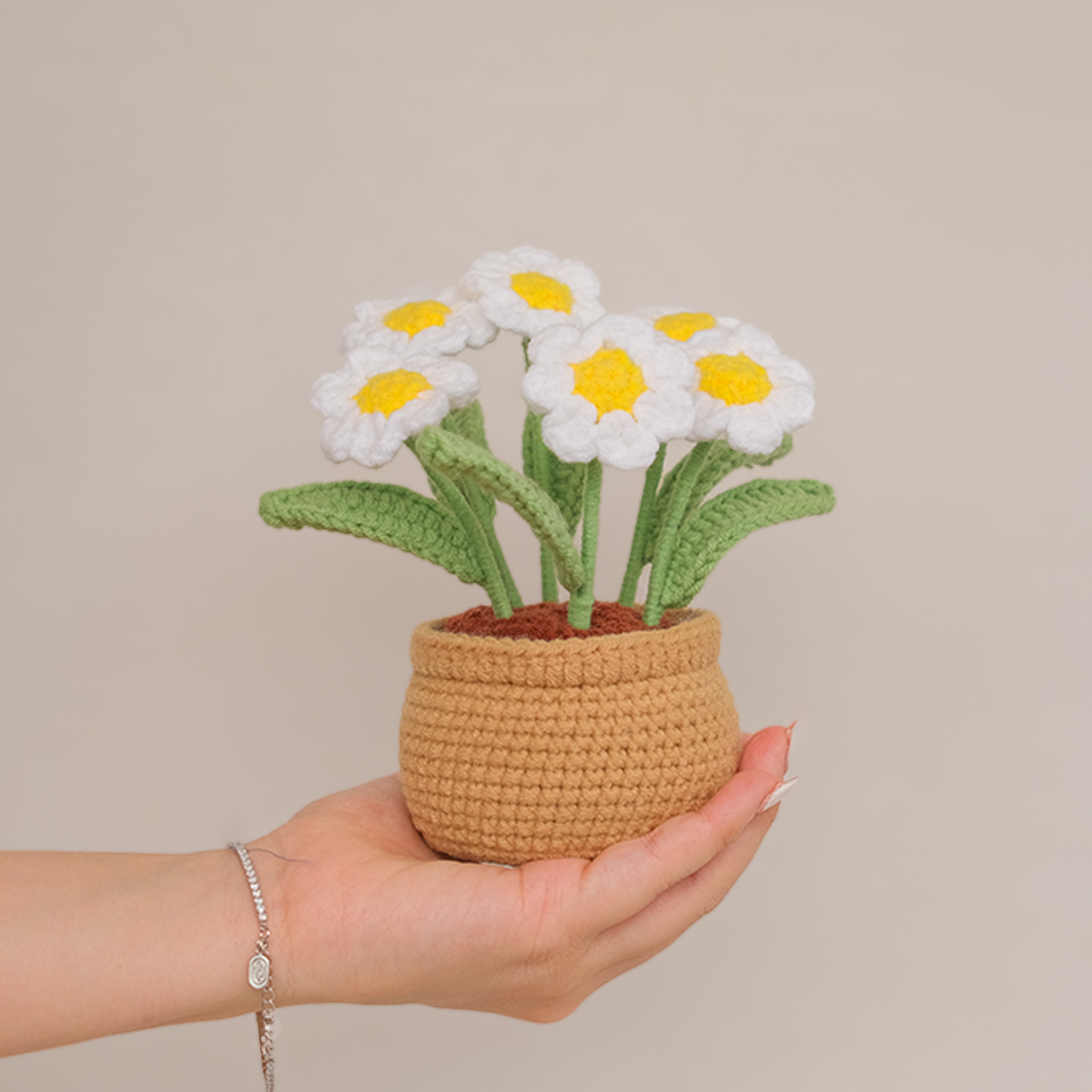 Daisy Garden Pot