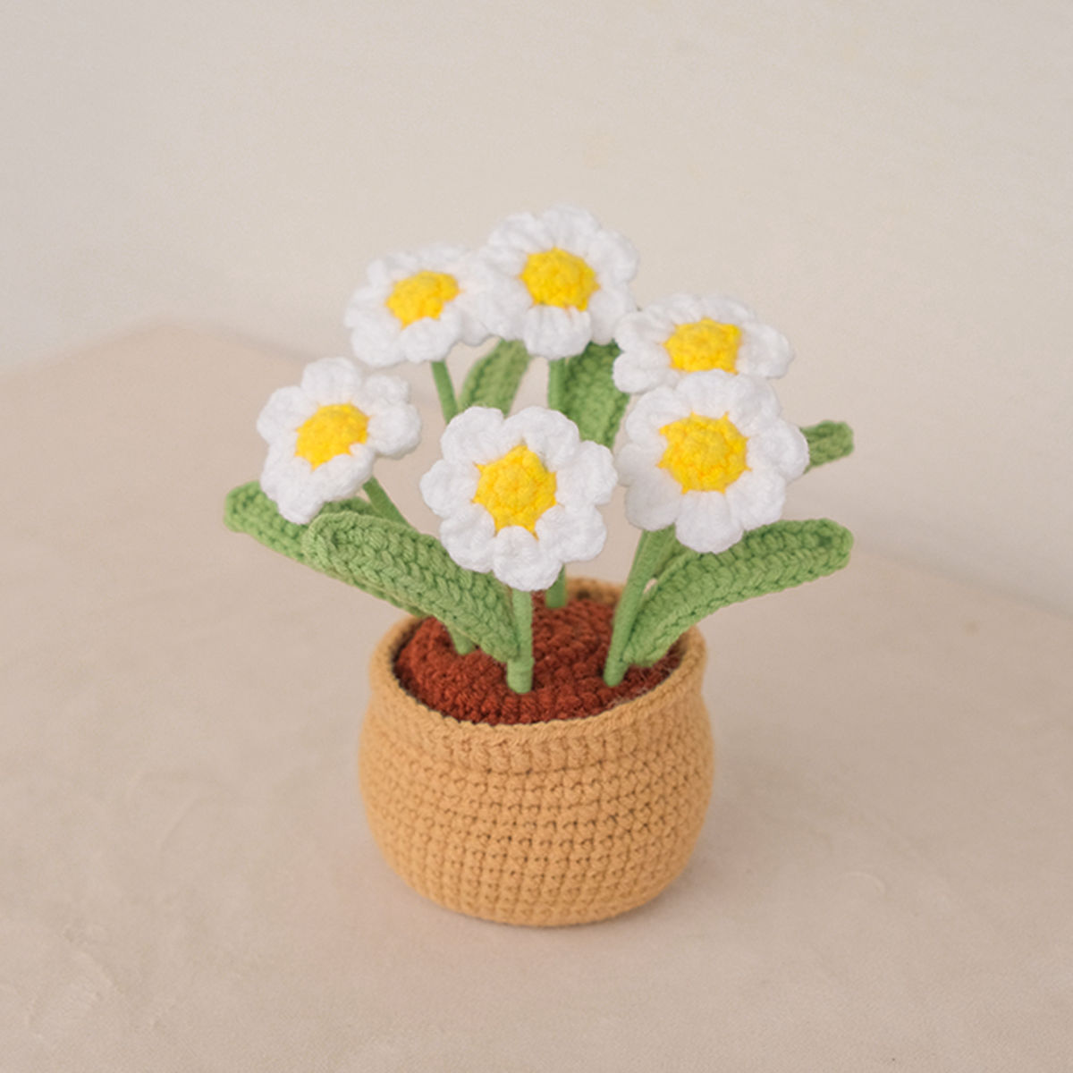 Daisy Garden Pot