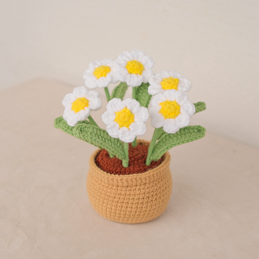 Daisy Garden Pot