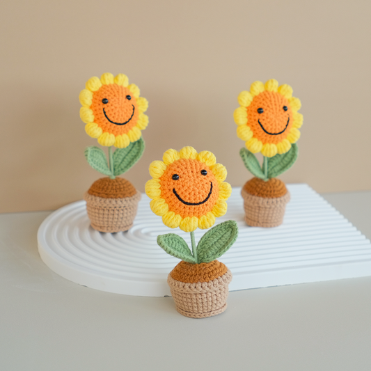 Smiley Pally Pot - Handmade Crochet Sunflower Gift