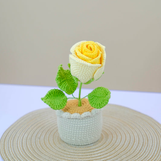Premium Rose Pot