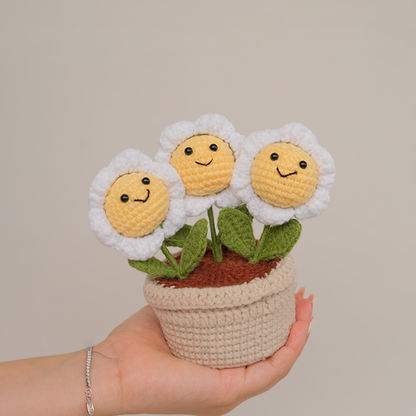 daisy potted plant crochet flowers