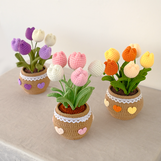Crochet Tulip Pot Plant Preserved Singapore